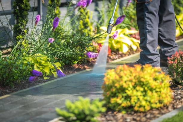 Best Fence Cleaning and Maintenance in Lake Camelot, WI